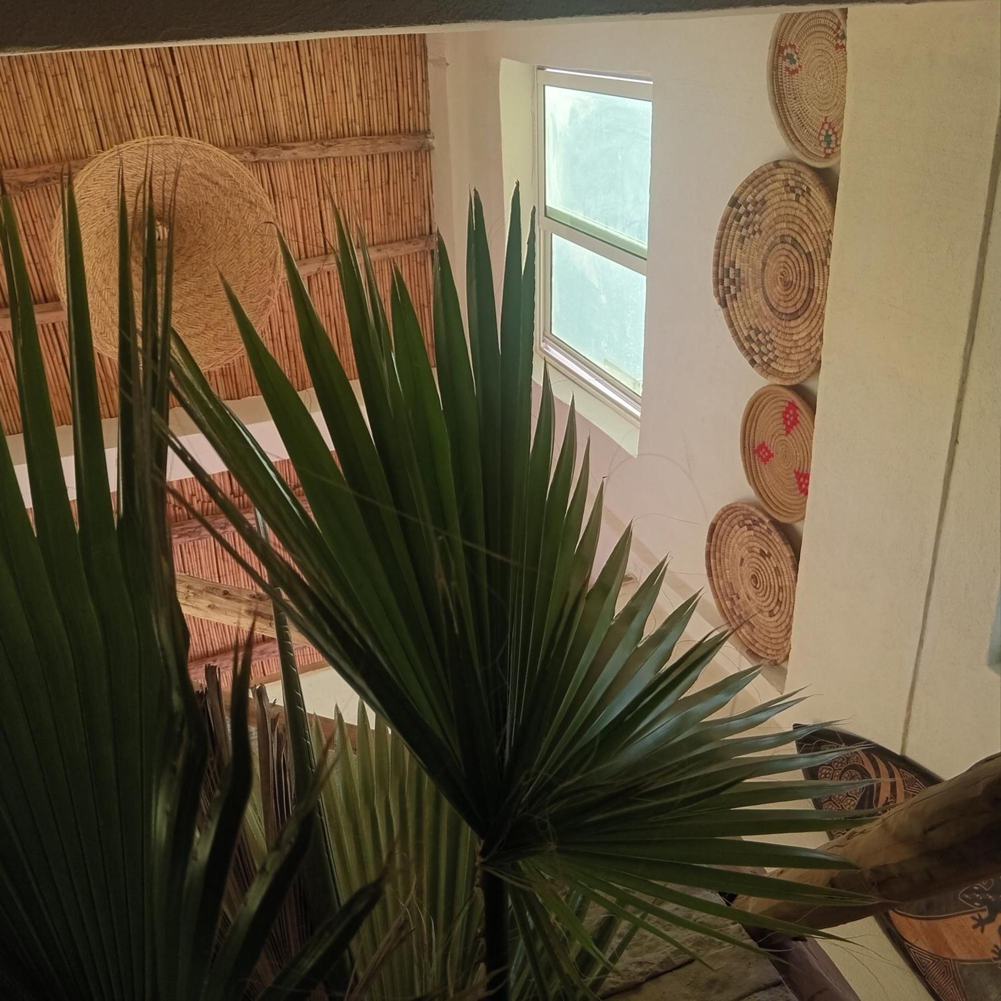 Moroccan Boho Surf House Agádír Exteriér fotografie