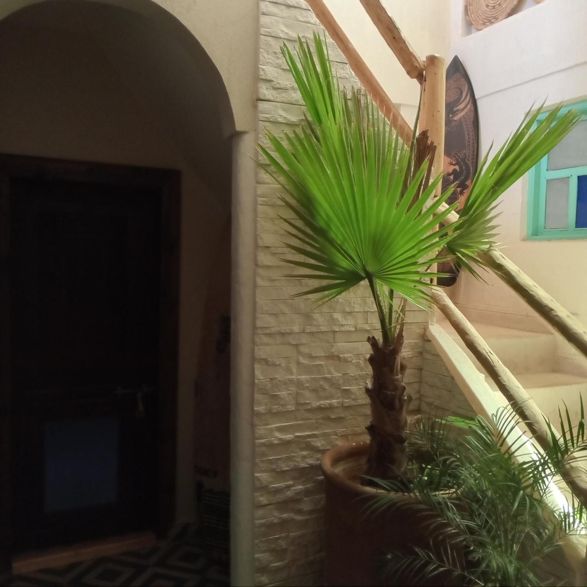 Moroccan Boho Surf House Agádír Exteriér fotografie